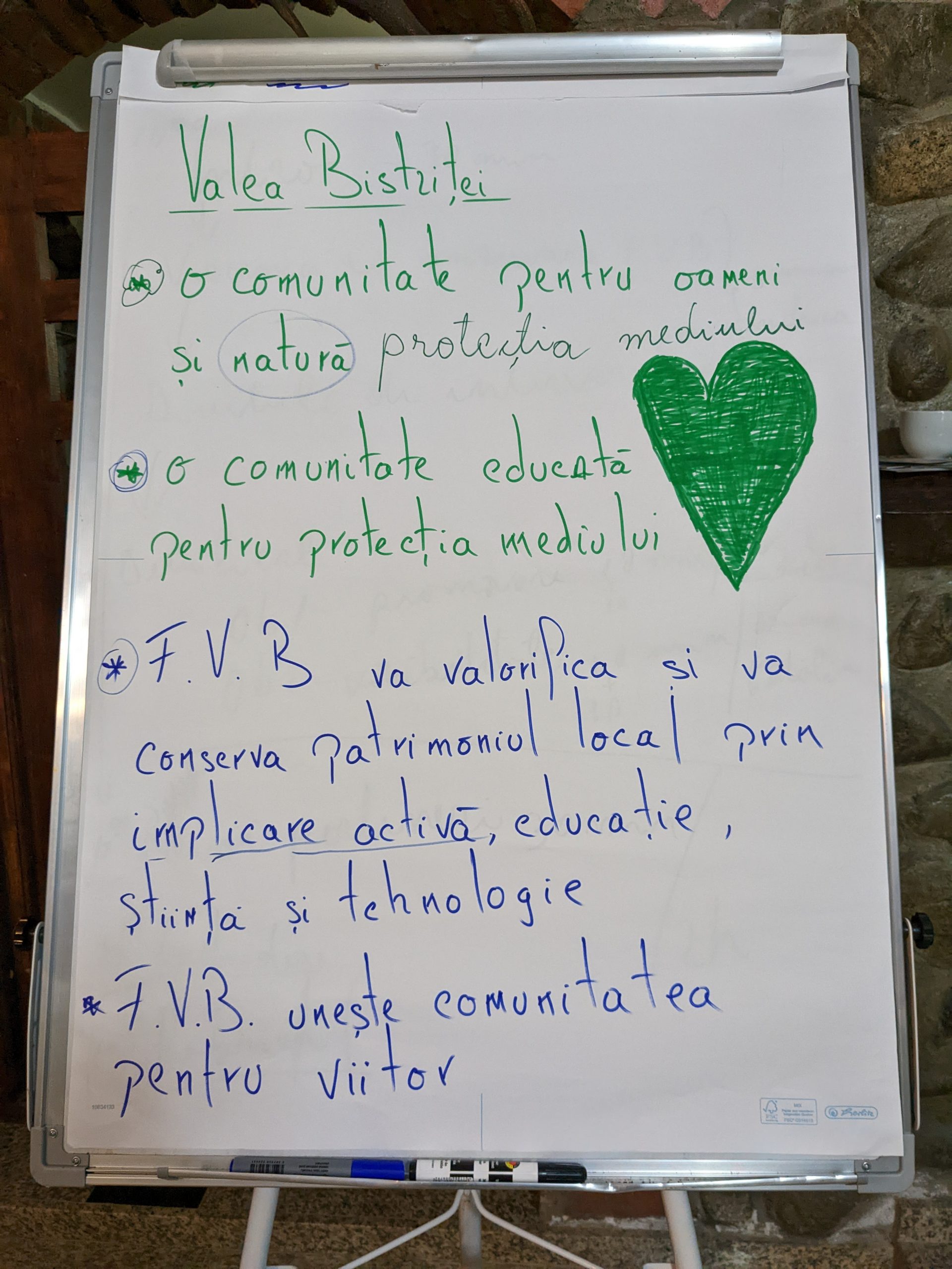 Connecting Valea Bistriței